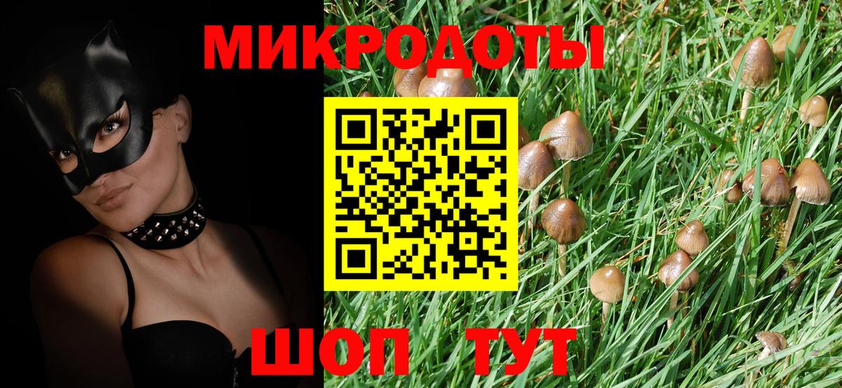 Зеленогорск  Псилоцибиновые грибы мухоморы  Вход с VPN 