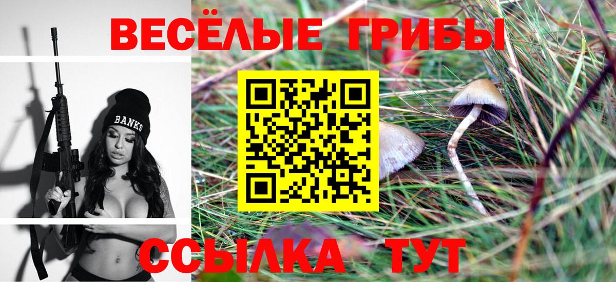 Галлюциногенные грибы Psilocybe Зеленогорск